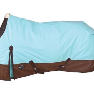 Reinsman 300-gram Fill Classic Winter Sheet H102