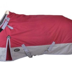 Reinsman 200-gram Fill Premium Winter Blanket H104
