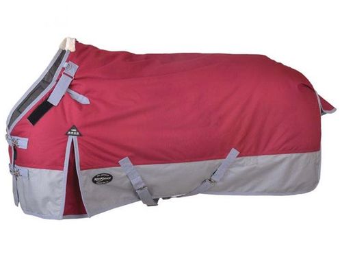 Reinsman 300-gram Fill Premium Winter Blanket H105